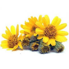 ������ ���������-����������� - ����������� 1