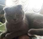 ������ ���������-����������� - ����������� 3