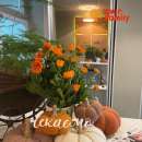 ������� � ����������: ������ �����-���������������� � ��������� �����