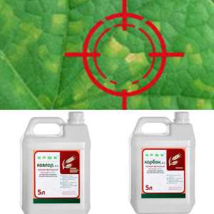 ������Ͳ ���ò���� ���Բ�������ί �� ˲�������ί Ĳ� - ����������� 1