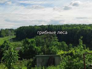 ������� 12 ����� � ����� �.���� � ����� ������� �� ������������. ���������� ����. ��� ������ � ��� - ����������� 1