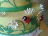 ������� 2-� ������� ���� � ������ ����, ����������, ������� ��������� - ����������� 2