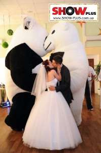 ������� 3-� �������� �������. ��������� ������������ � ����������� - ����������� 1