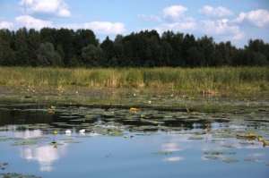 ������� 5 �� � 10 �� ��� ������� ������� �������. ������������. - ����������� 1