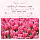 ������� � ����������: ������� 8 �����