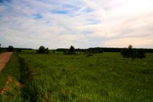 ������� - ����������� 1