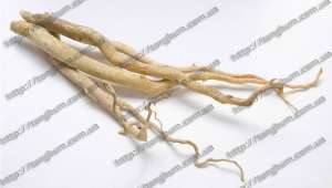 ������� - ����������� 1