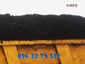 ������� - ����������� 1