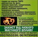 ������� - ����������� 3