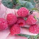 ������� - ����������� 3