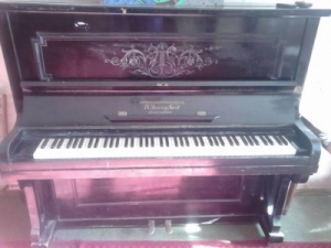 ������� - ����������� 1