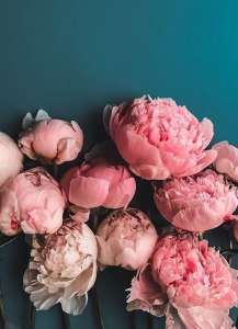 ������� - ����������� 1