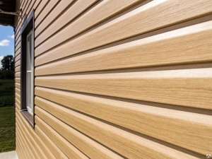 ������� - ����������� 1