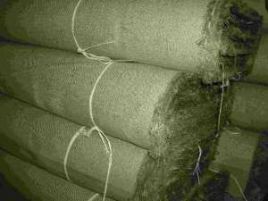 ������� - ����������� 1