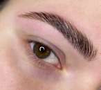 ������� � ����������: �������