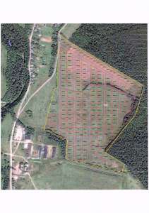 ������� � ���� ���� - ����������� 1