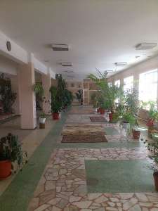 ������� � ������ 310 ��.� (�����, ������������) ��.�������� 115 � - ����������� 1