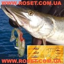 ������� � ������ ��� ������� ����� ���� Mighty Bite - ����������� 3