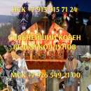 ������� � ������, ������� � ������, ���������� � ������, ������ � ������, ����������� � ������, ��������� � ������, ���������� - ����������� 3