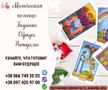 ������� � ����������: ������� � ������. �������� ��������. ������������ ������.