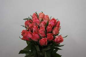 ������� � ������ ��������� ��� - ����������� 1