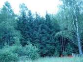 ������� � ������� � ����� - ����������� 1