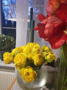 ������� � �������, �� ���� ����� � ��������� - ����������� 1