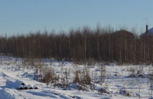 ������� � ������� ������ ������ - ����������� 1