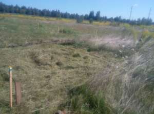 ������� � �������� - ����������� 1