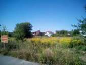 ������� � �������� ������� ��� ����� �������������. (������������� �-�.). - ����������� 2