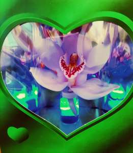 ������� � ��������� � ���������� - ����������� 1