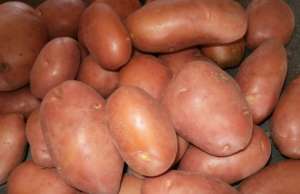 ������� � ��������� �� 20 ���� ����� - ����������� 1