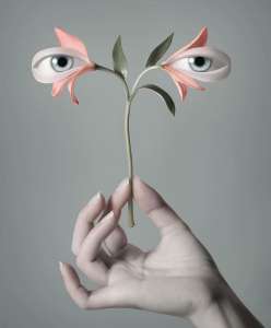 ������� � ��������� �����, ���� - ����������� 1