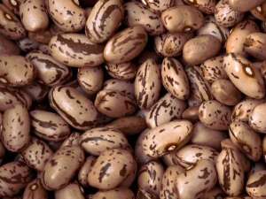 ������� � ���������� - ����������� 1