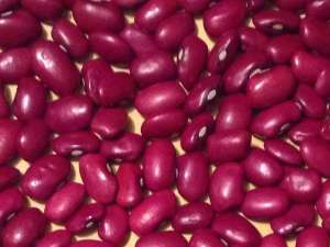 ������� � ����������. ³� 5 ����. �������� - ����������� 1