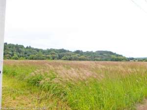 ������� � ���������� ������� �����. ����� �����. ��������. - ����������� 1