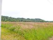 ������� � ����������: ������� � ���������� ������� �����. ����� �����. ��������.