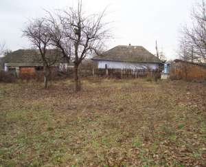 ������� � ����������� ���� �������� ������� - ����������� 1