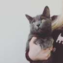 ������� � ����������: ������� � ����������� ������ � ������� ����!!