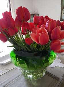 ������� � ������������ �� ���� ������ �� ������ ���� - ����������� 1