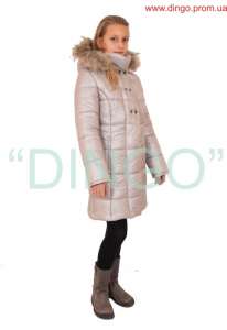 ������� � ������������ ������� ������ "Dingo" - ����������� 1