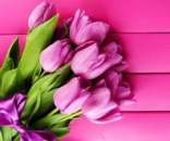 ������� � ����������: ������� �� 8 ����� �� �����, ��� �������� 8 �����, ���� ���������� 8 ����� �� �����