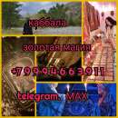 ������� �� ��p��� ���� �p���p�� C����e �o��� �p����c���� ��ex �a �oe� ��������!🙏 �o����o�����? 💖�, ����� - ���� - ����������� 2