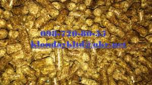 ������� �� ����� 6 � 8 ��, �������. - ����������� 1