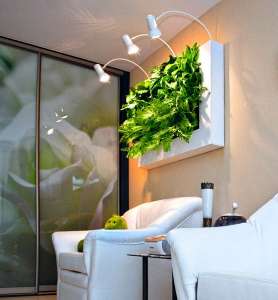 ������� �� ����� ��������, ������������ ���������� ���������� - ����������� 1