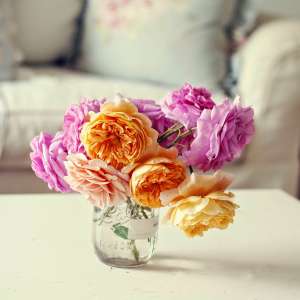 ������� �� ������ - ����������� 1