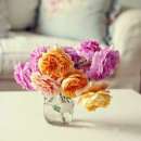 ������� � ����������: ������� �� ������