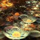 ������� �� ������