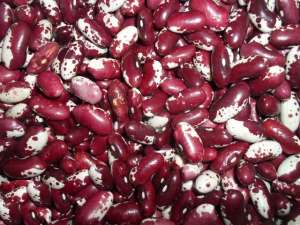 ������� �� ������. ³�����, ��������� ����� - ����������� 1