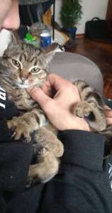 ������� �� ������ ���� - ����������� 1